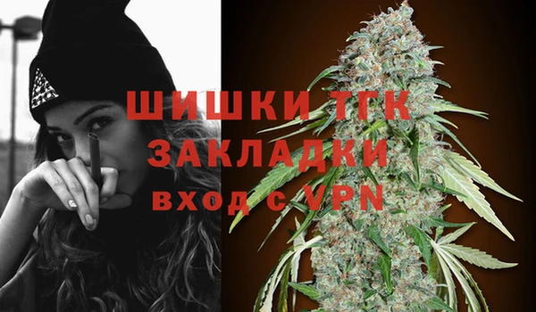 мяу мяу кристалл Гусь-Хрустальный