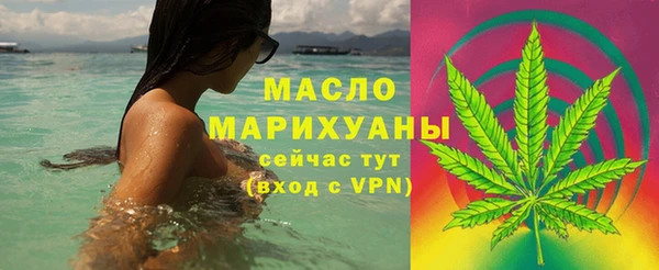мяу мяу кристалл Гусь-Хрустальный