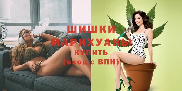 мяу мяу кристалл Гусь-Хрустальный