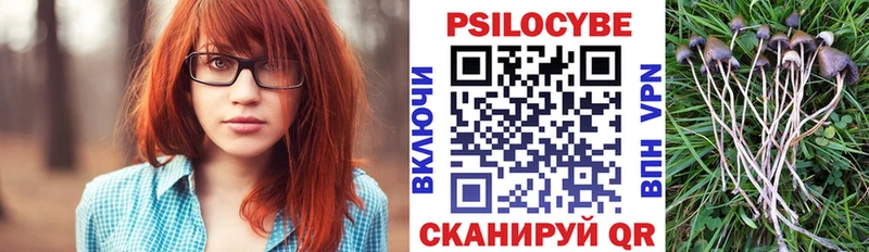 Купить где  Ковылкино  Псилоцибиновые грибы прущие грибы 